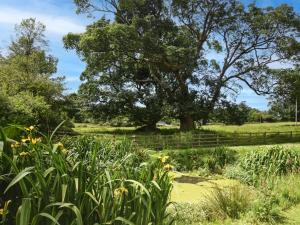 2 Bed in South Petherwin 85894