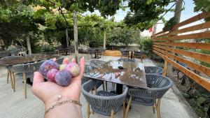 Borsh Selavi Guest House