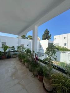 Sunny Villa Apartment, 10min Walk to La Marsa Beach