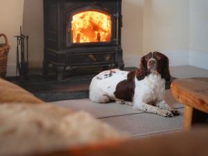 5 Bed in Aberystwyth 58889