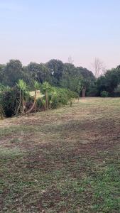 la finestra sul cortile 2