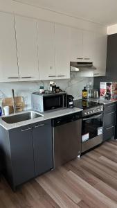 Great view 1BDRM APTR in heart of Montreal DWTN