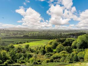 1 Bed in Newchurch 89932