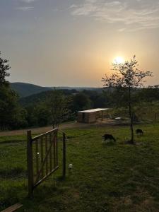 Yourte au coeur des chevaux