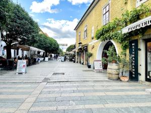 Vintage Boutique Loft Apartment