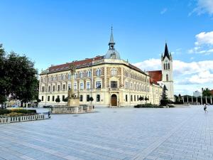 Vintage Boutique Loft Apartment