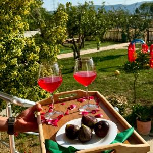 Tringa Guesthouse - Mrizi i Zanave