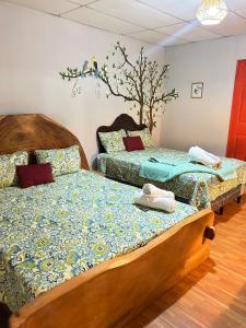 1961 Los Naranjos Hostal