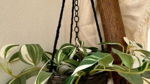 La bottega di zia Tetta - Luxury Home