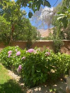 Cabañas Pisco Elqui