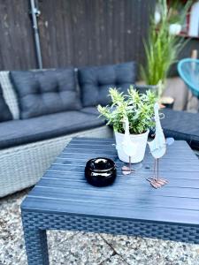 Ferienapartment Seelenglück mit eingezäuntem Garten