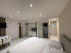 Appart'hotels Appart hotel bonpas : Appartement 1 Chambre Deluxe