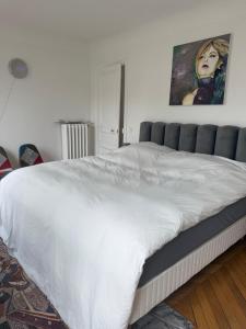 Appartements Trending Apartment - Place Victor Hugo : photos des chambres