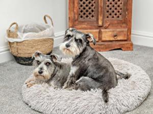 2 Bed in Taunton 93581