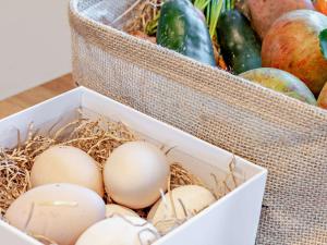 2 Bed in Taunton 93581