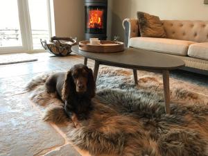 3 Bed in Melton Mowbray 61788