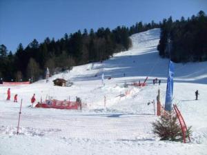 Chalets Alpine Chalet near Cafes : photos des chambres