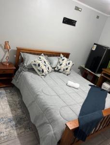 Habitación cerca de Pajarito, Aeropuerto, Clínica y esc PDI1