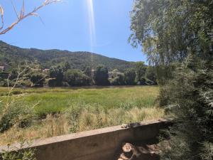 Maisons de vacances Charmante maisonnette renovee au bord de la Loire pour une escapade a deux - FR-1-582-536 : photos des chambres