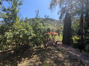 Maisons de vacances Charmante maisonnette renovee au bord de la Loire pour une escapade a deux - FR-1-582-536 : photos des chambres