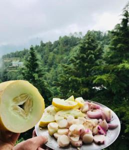 The Alpine Ramgarh