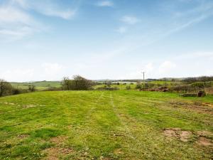 Celyn Bach - Uk37083