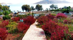 Villa Romanza beach villa Halki-Island Greece