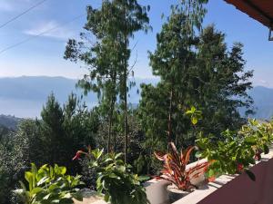 Find Your Perfect Mountain Retreat at House fire