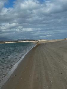 Sandy Sky Blue Shack