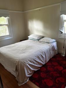 Sandy Sky Blue Shack