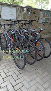 Abturist penzion