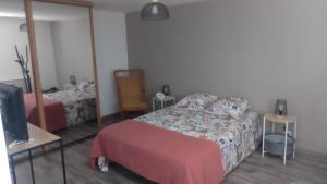 Appartements GITE 51 chez PATRICIA : photos des chambres