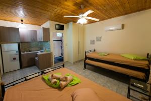 Villa Dimitris Apartments & Bungalows Lefkada Greece