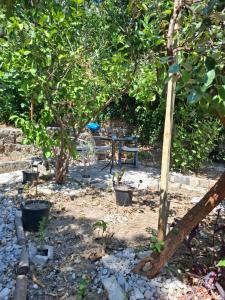 Peaceful retreat beach