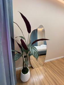 Olivium Rooms