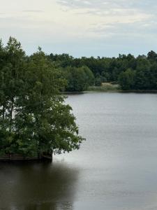 Luxapartments - Lake View Apartment 202 in Penati Golf Resort