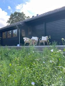 Amazing summerhouse - 12 people - 100m to the water