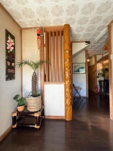 Guest House SUN Izu Shirahama