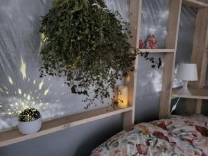 Całoroczne Leśne SPA pod Chmurką - zawsze na wyłącznosć