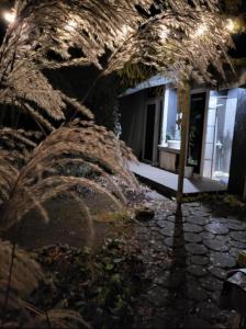 Całoroczne Leśne SPA pod Chmurką - zawsze na wyłącznosć