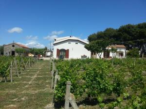 SERRA E MESU Affittacamere img3