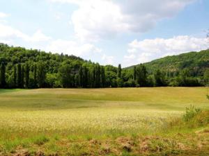 Maisons de vacances Hilltop Home with Valley View : photos des chambres