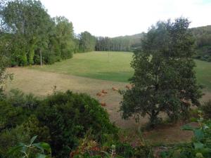 Maisons de vacances Hilltop Home with Valley View : photos des chambres