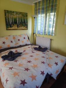Czanadomb apartman