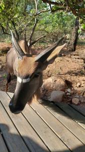 RockN Round Marloth Lodge