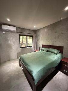 3-bedroom apartment double story