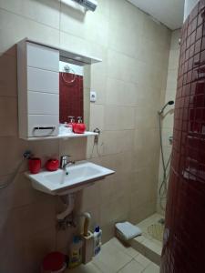 Macedonia, Accommodations,rentals"Villa Vevcani" Vevchani