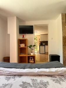 Appartements Loft sympa a Sassenage : photos des chambres