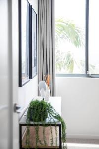 Breathtaking Harbour Views from 2 bed 2 bath Executive Apartment