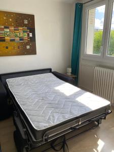 Appartements Lumineux, chaleureux et spacieux T2 parking wifi : Appartement 1 Chambre